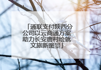 通联支付陕西分公司以云商通方案助力长安唐村绘就文旅新图景